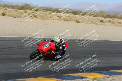 media/Feb-04-2023-SoCal Trackdays (Sat) [[8a776bf2c3]]/Turn 6 Inside (1025am)/